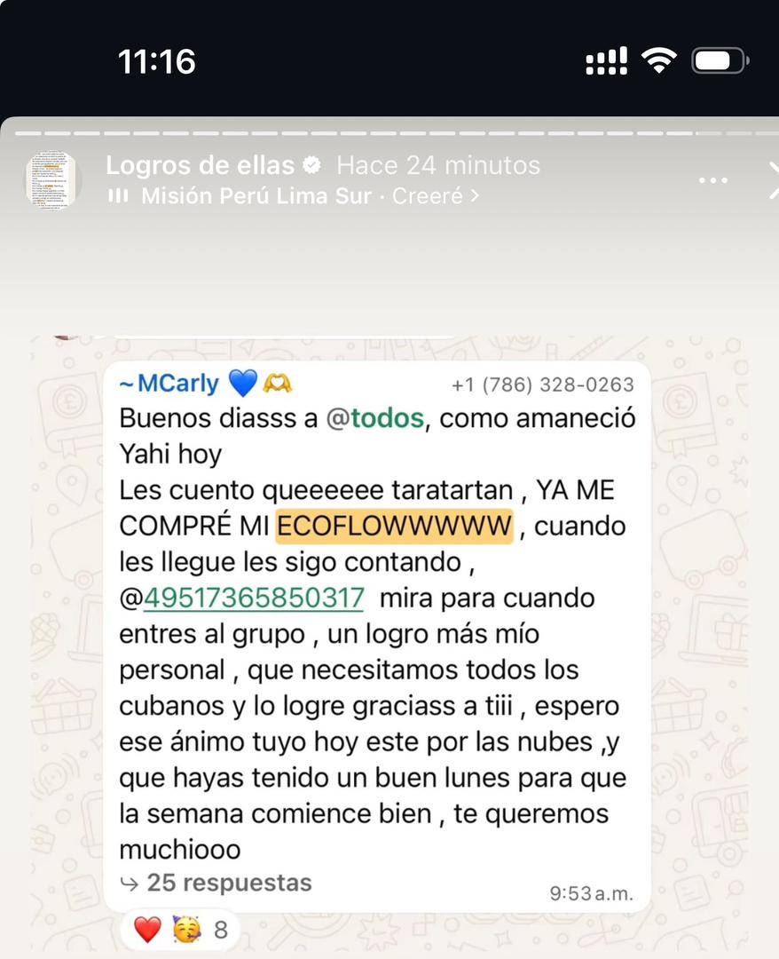 Captura 2